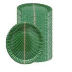 100% Biodegradable_Eco Friendly_12 Inch Paper Dinner Plates_Pack of 25_Natural Paper Plates_SPOYP2